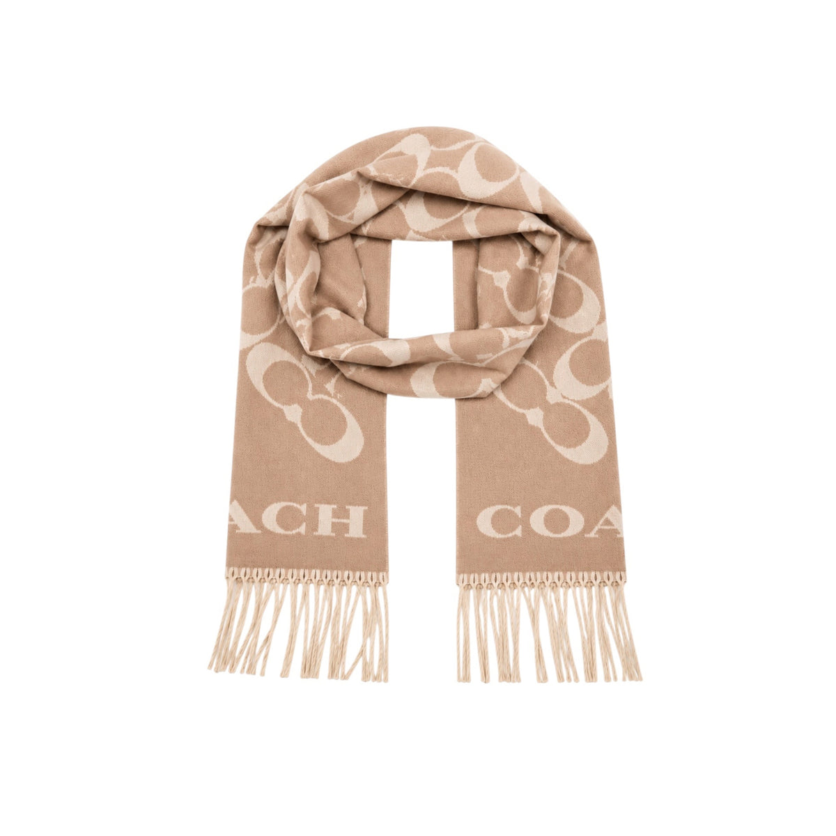 COACH scarf