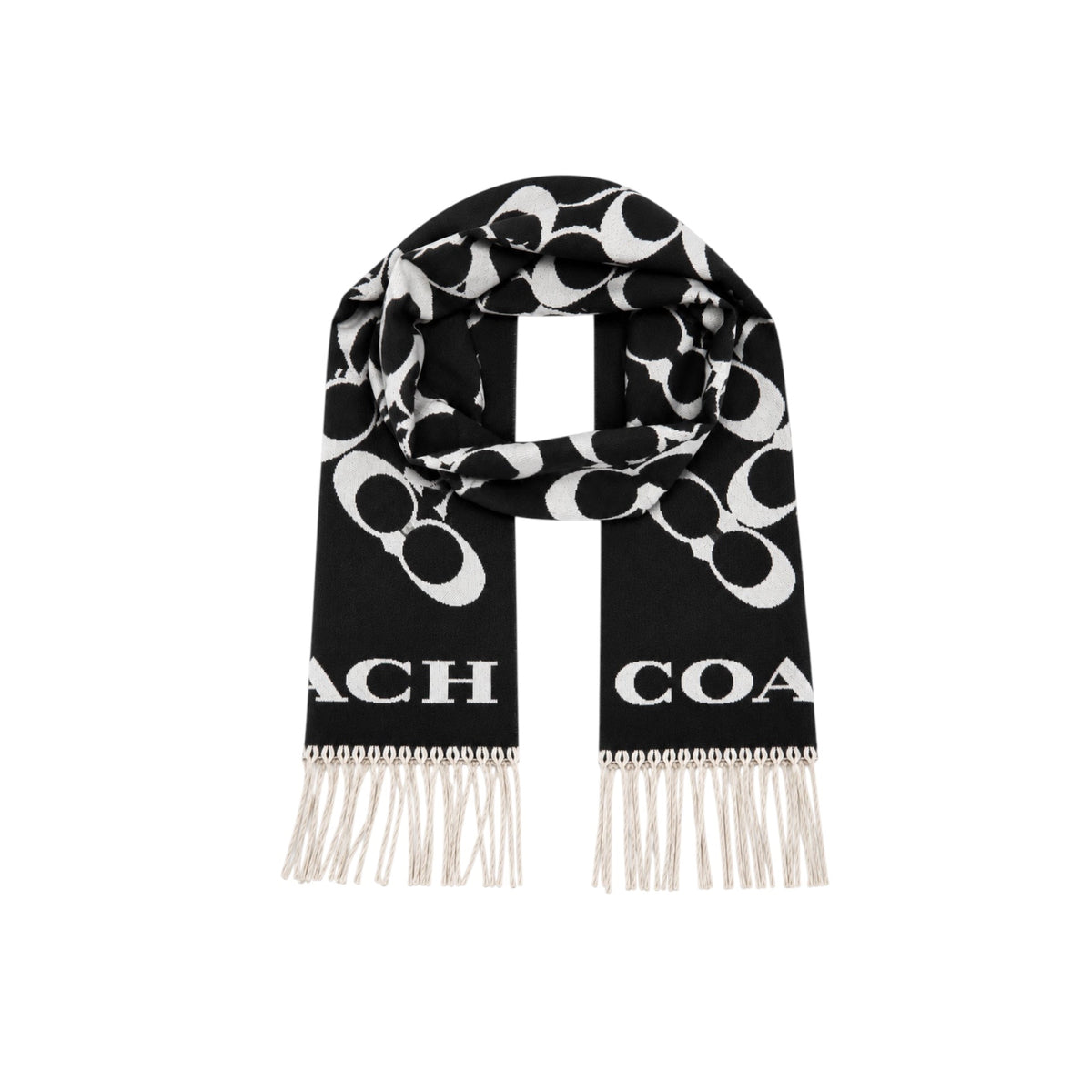 COACH scarf